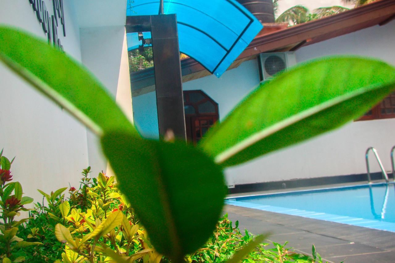 Sevonrich Holiday Resort Dambulla Buitenkant foto