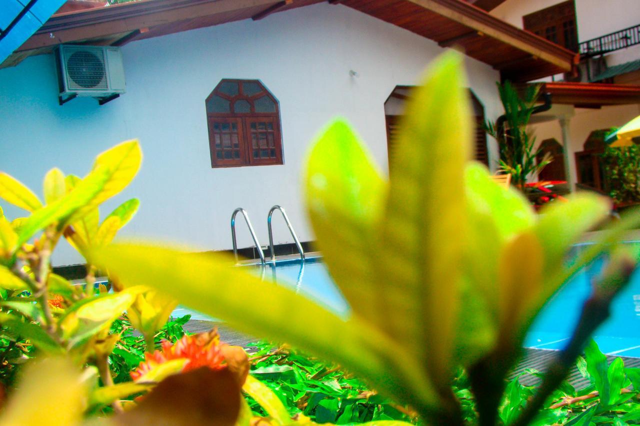 Sevonrich Holiday Resort Dambulla Buitenkant foto